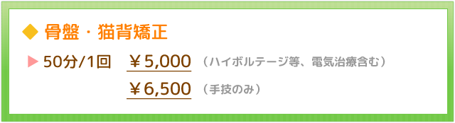 骨盤・猫背矯正　料金表