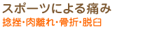 スポーツによる痛み　捻挫・肉離れ・骨折・脱臼